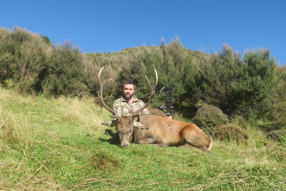 Gear Up For The Roar